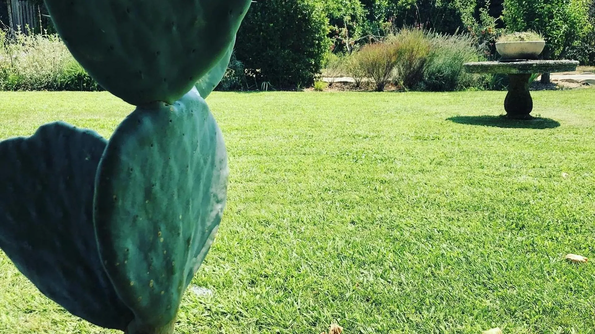 Grande Villa Provencale Avec Piscine Privee A Gemenos